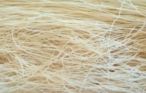 Noodle Factory Opportunity