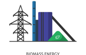 Biomass Power Plants
